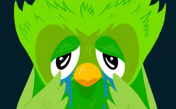 Duolingo sta andando in IPO. Ecco cosa c’è da sapere su Duolingo