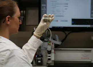 Celle organiche che possono generare energia all’interno